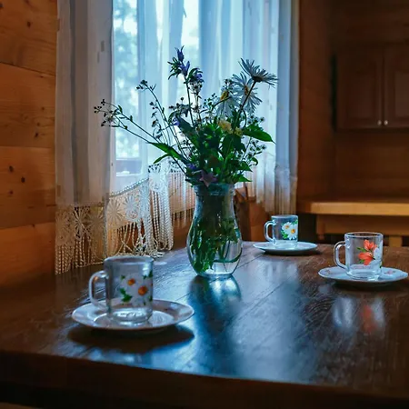 смерекова хата * Iltsi